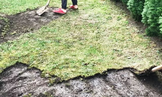 Снятие дерна старого газона в Реже – от 514 руб. | 2Землекопа-Реж